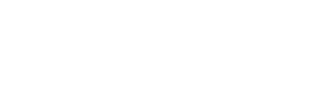 Schnicke Design Build Remodel Partial Logo